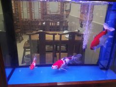 -东来菜馆•手抓海鲜家常菜•海鲜锅贴(鸽子窝店)