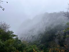 -青峰峡国家森林公园