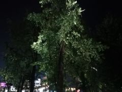-百林公园-两江幸福广场