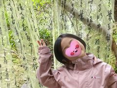 -刘伯温故里景区百丈漈