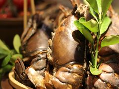 -济南香格里拉·咖啡泉自助餐厅