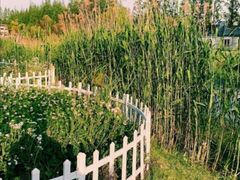 -前小桔亲子创意农场·草莓采摘·露营烧烤