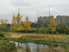 -两河城市森林公园