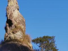 -温州永嘉书院