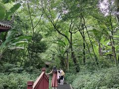 -青城山