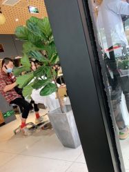 -木北造型