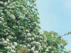 -府河摄影公园