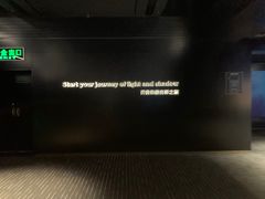 -奥斯卡升龙国际影城(RealD Cinema)