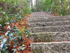 -西湖风景区-江洋畈生态公园