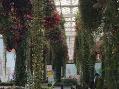 -上海鲜花港