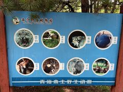 -青藏高原野生动物园