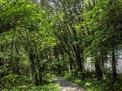 -虞山风景区