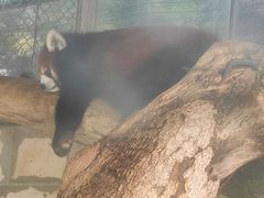 -泉州海丝野生动物世界