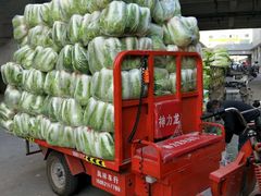 -江杨农产品批发市场