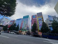 -秋叶原电器街