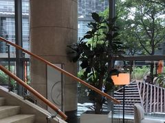 -Plush大堂酒廊(北京金融街威斯汀大酒店)