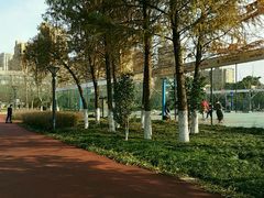 -杭州城北体育公园