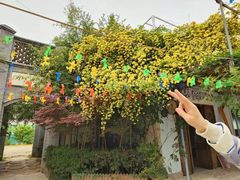 -白鹿原·白鹿仓