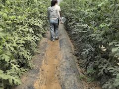 -韩士良采摘园