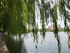 -济南大明湖景区