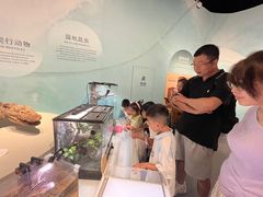 -中国湿地博物馆