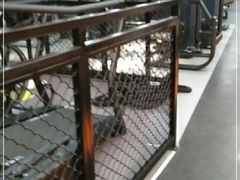 -威尔仕健身(新天地店)