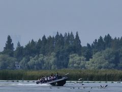 -东湖落雁景区