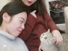 -猫色咖啡·猫咖
