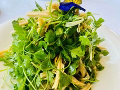 -悦融·京鲁菜·露台花园(安定门店)
