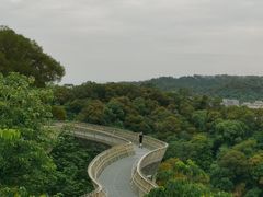 -福道