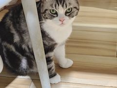 -听TA说宠咖·宠物生活馆(天韵水岸店)