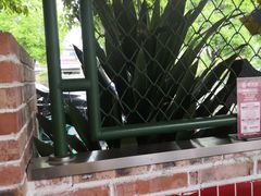 -霸王虾·麻辣小龙虾(清水河公园店)