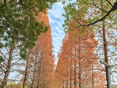 -食膳公园包子铺(烈士公园店)