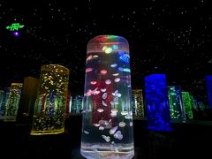 -锦艺城海洋馆