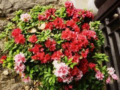 -虞山城墙