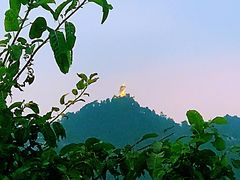 -大金鹰园