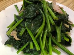 肉炒菠菜粉丝-九龙餐厅(大沽路店)