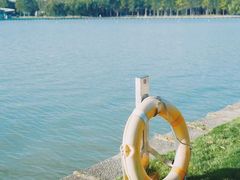 -上海月湖雕塑公园