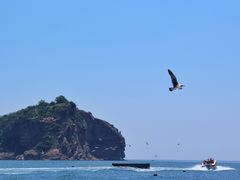 -棒棰岛宾馆景区
