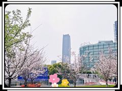 -北外滩滨江绿地