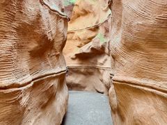 -陕西自然博物馆