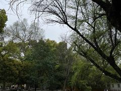 -西园戒幢律寺