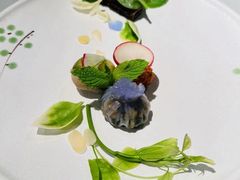 -杭州植物园