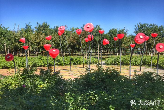 北京爱情海玫瑰园图片图片