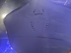 -大连圣亚海洋世界
