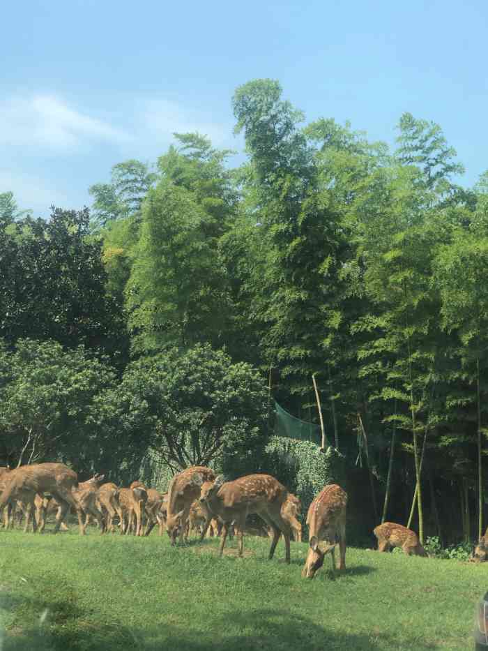 至臻康妍健康管理中心"他们家新开了一家店 在莫干山路文化巷 店.