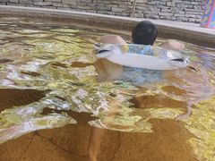 -融汇温泉
