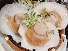 -大红袍火锅料理(尖沙咀店)