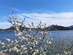 -望湖烤鱼