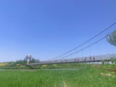-西青郊野公园